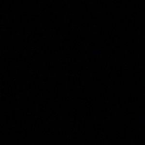 Meet your Posher, Eden